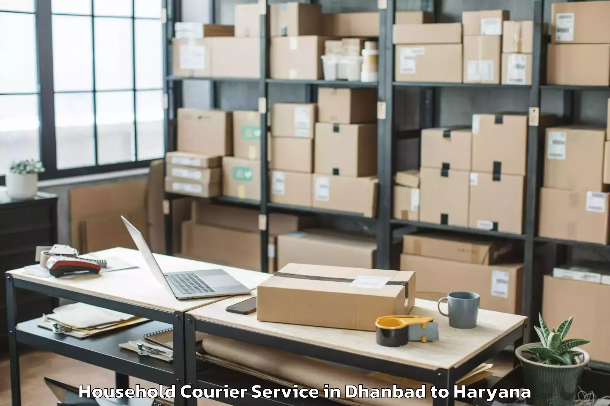 Quality Dhanbad to Haryana Household Courier